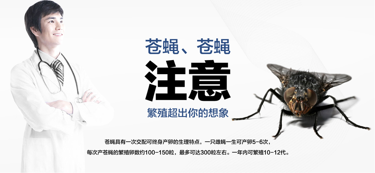 老鼠聰明超出你想象。