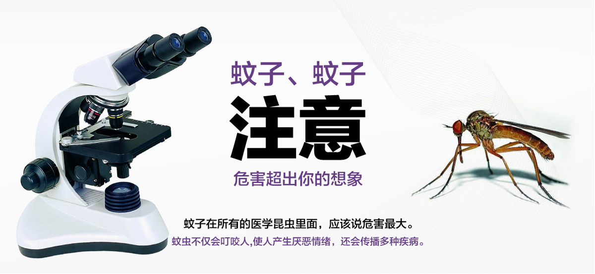 蚊子危害超出你的想象。